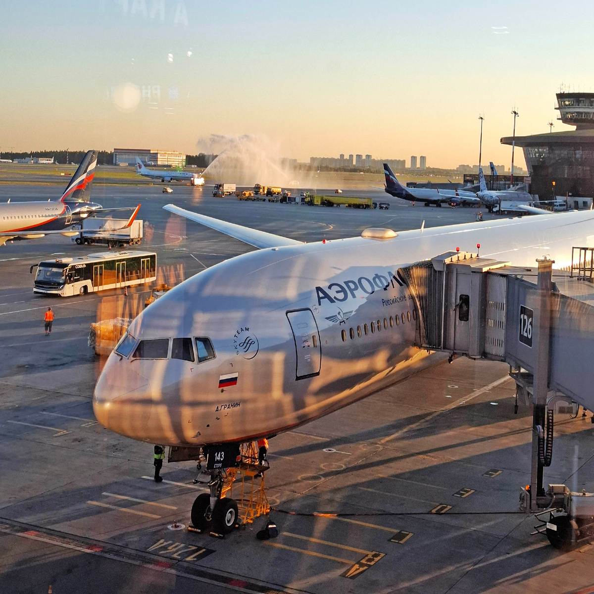 Фото автора. Сделано в московском аэропорту «Шереметьево».