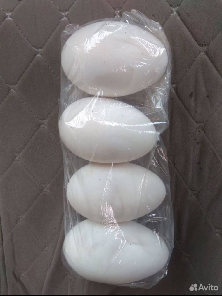 Гусиное яйцо больше куриного. Фото: Avito