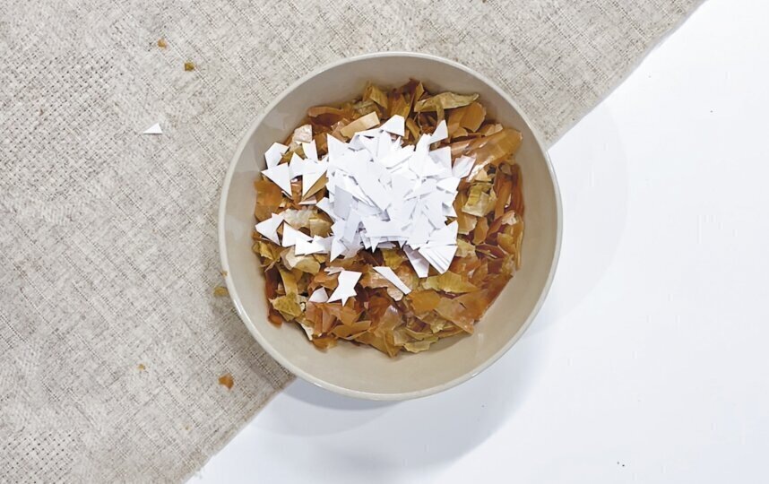    Фото: Анна Тихонова