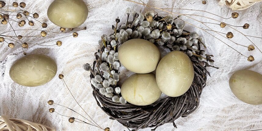    Анна Тихонова