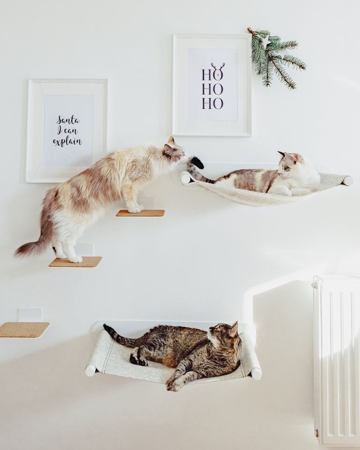 Изображение с сайта https://pin.it/M5LAUOcgL