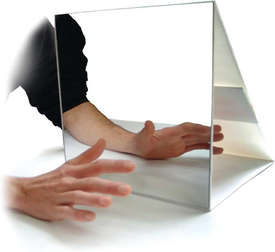 Зеркало Вилаянура Рамачандрана.