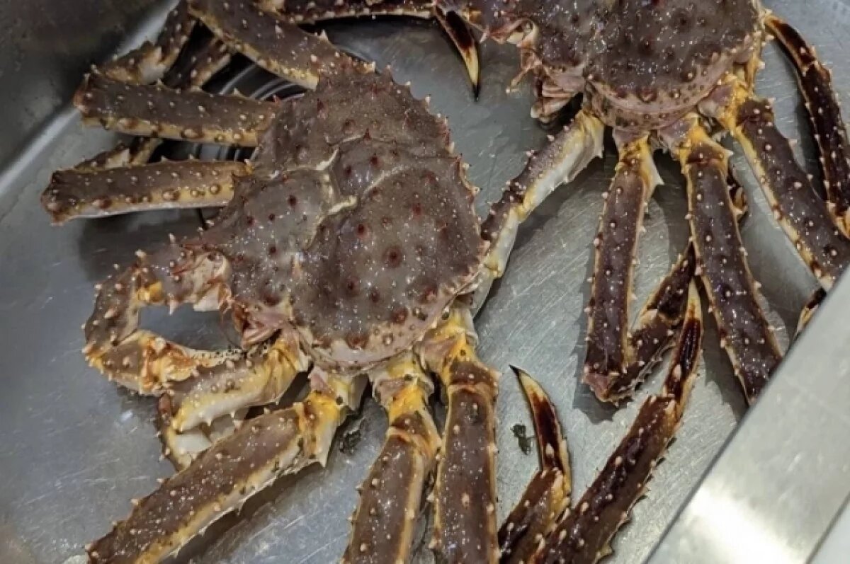    Когда предприниматели вывози из России краб, они специально занизили его стоимость, благодаря чему им не пришлось платить обязательные платежи