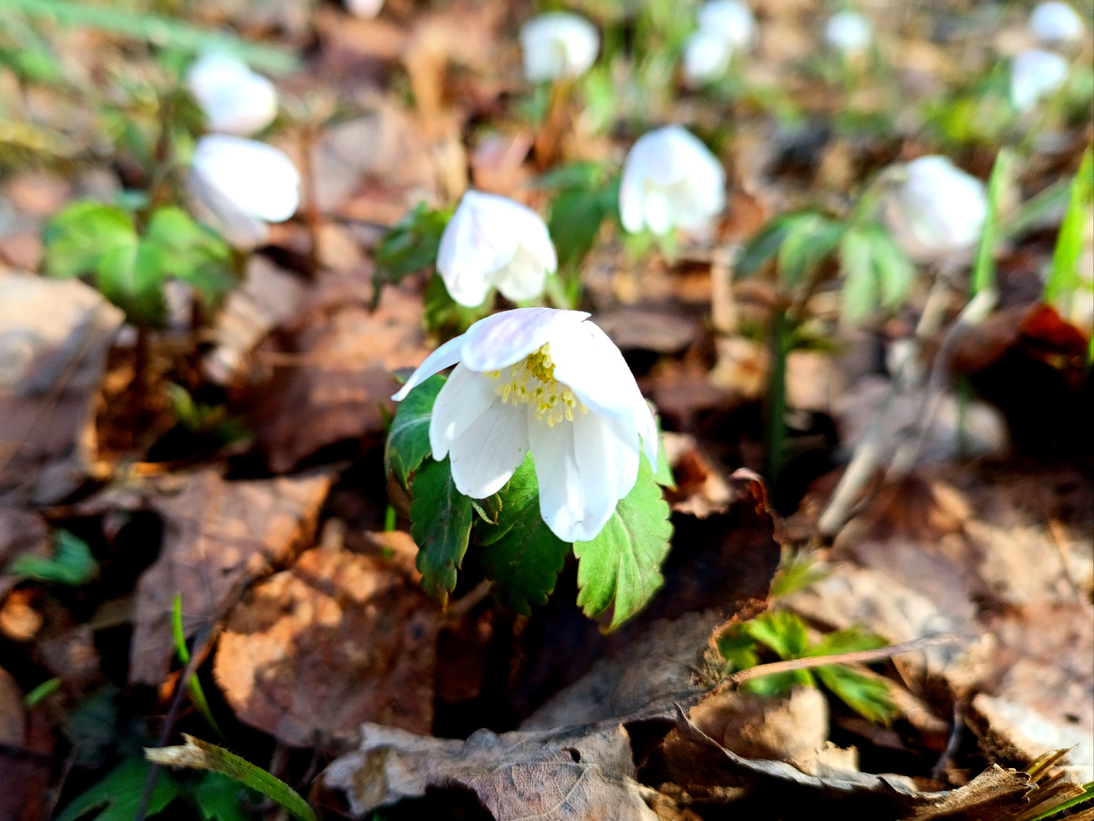Фотография автора