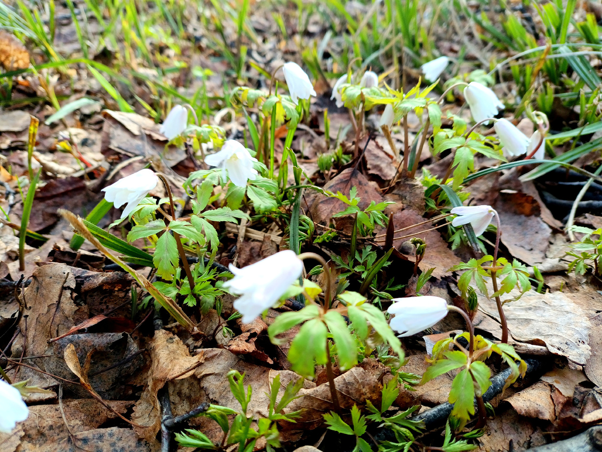 Фотография автора