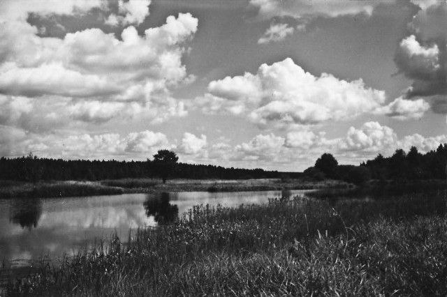 Одна из любимых моих работ