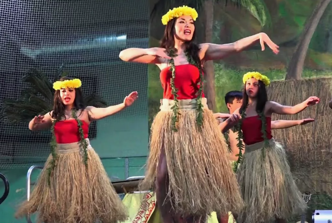 фото из открытых источников