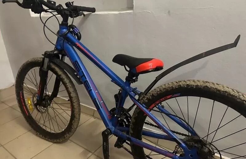 Фото: ГУ МВД России по Челябинской области