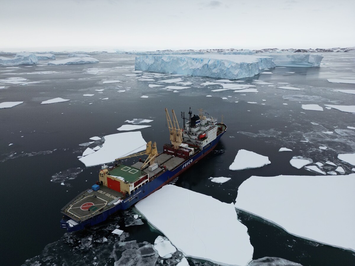 Фото: пресс-служба FESCO