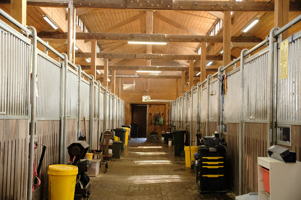 Конюшня очень хорошего уровня