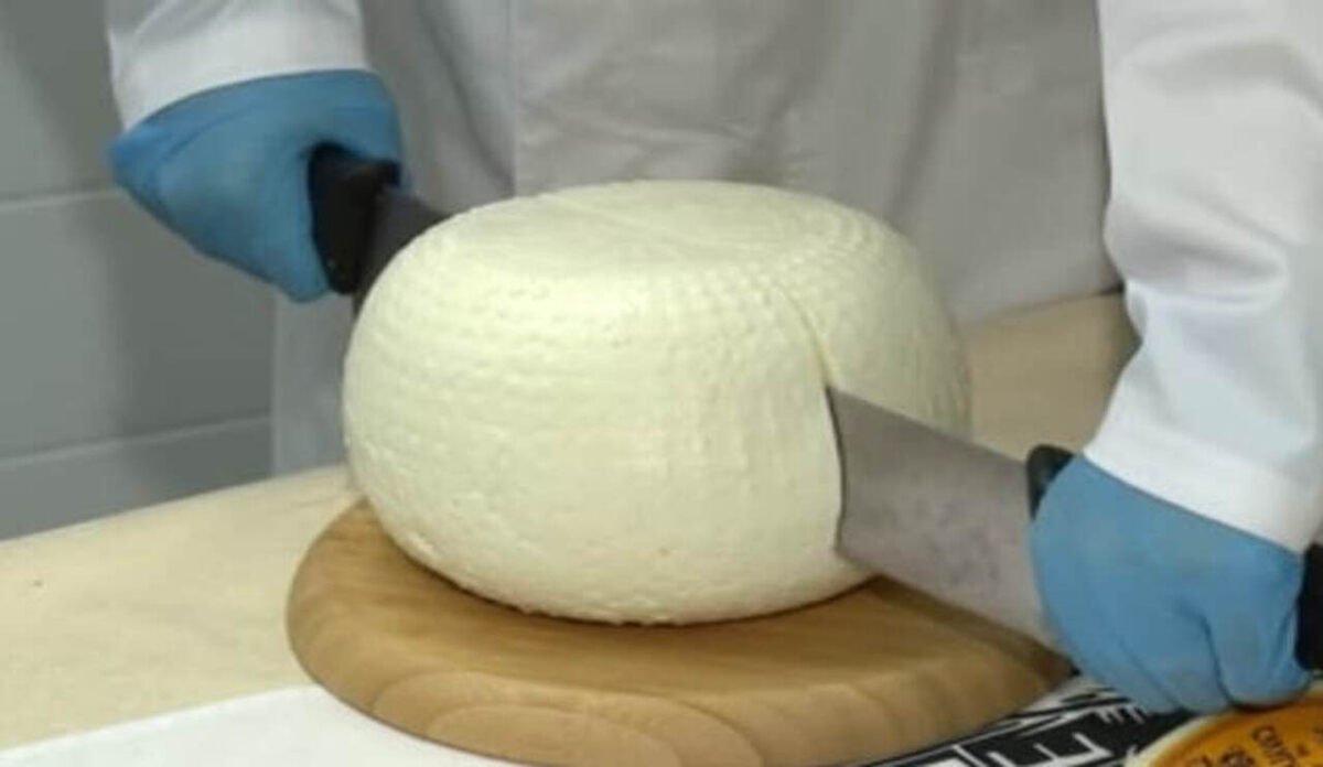    Курское предприятие «Сырная долина» доказало свою устойчивость в условиях санкций