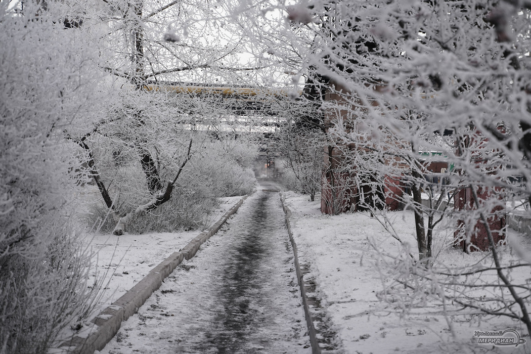    Фото: Лидия Аникина © ИА «Уральский меридиан»