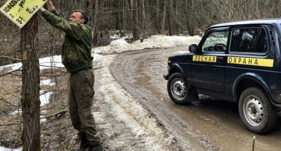    Комитет лесного хозяйства Московской области
