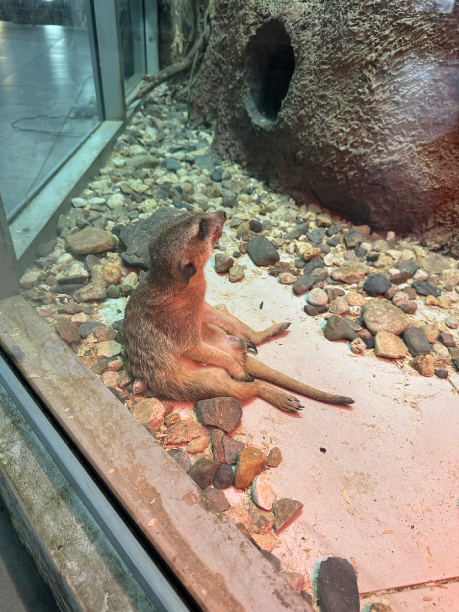 На чиле - на расслабоне