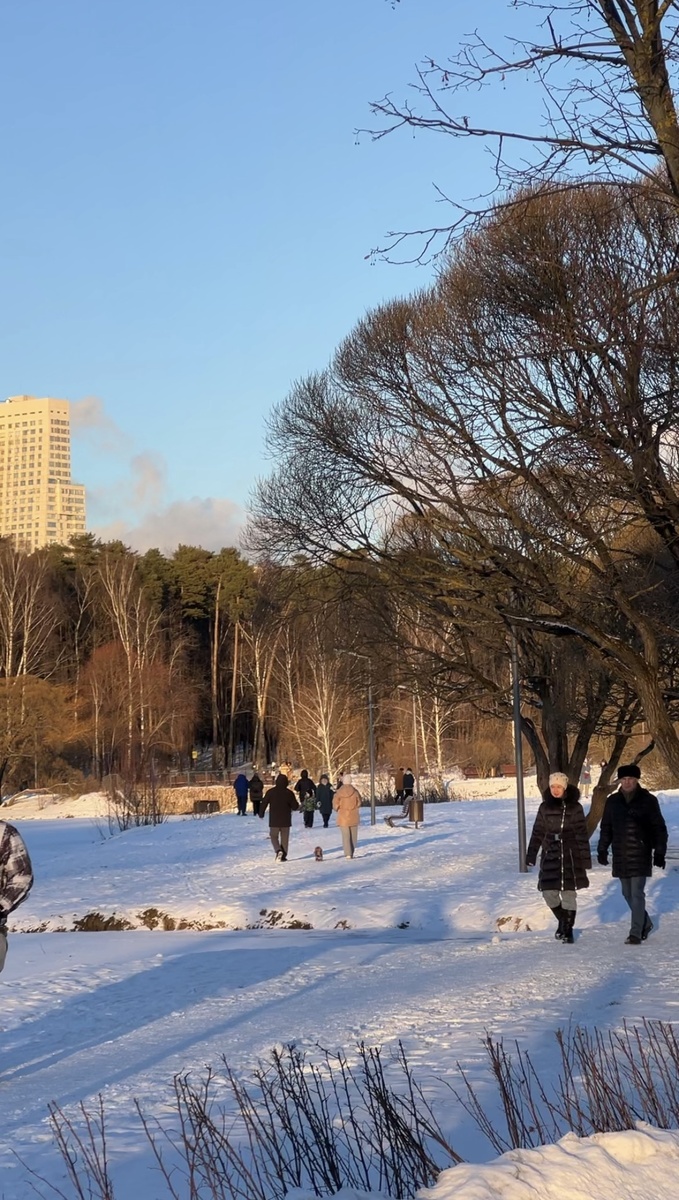 Парк Покровское-Стрешнево