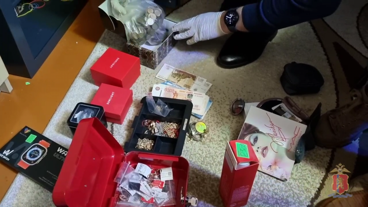 Изображение: ГУ МВД по Красноярскому краю