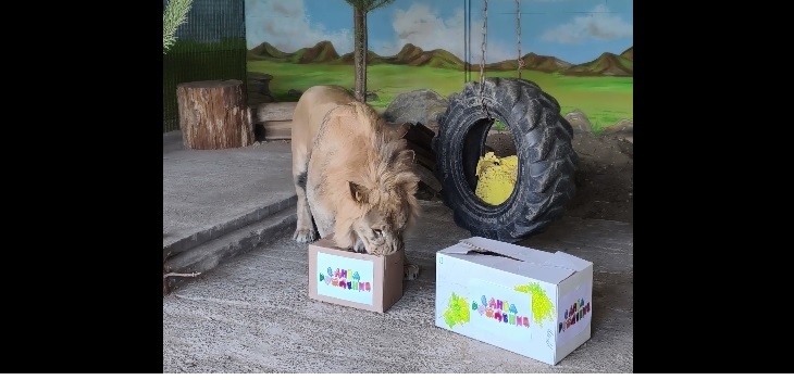    Скриншот видео Самарского зоопарка