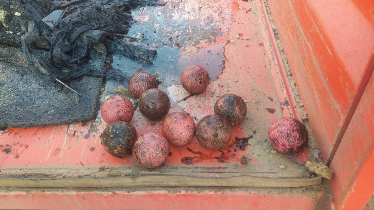 Фото: «КрасКом»