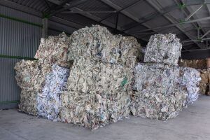    Фото: пресс-служба СФТ Групп