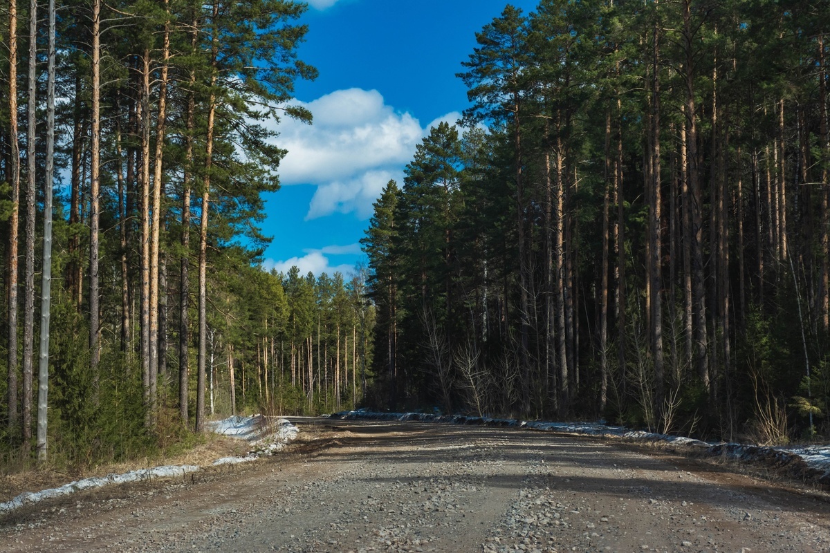 Фото: Людмила Баймухаметова