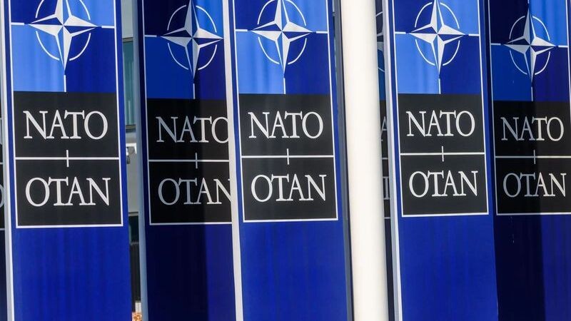    Фото: Gints Ivuskans/Shutterstock/Fotodom