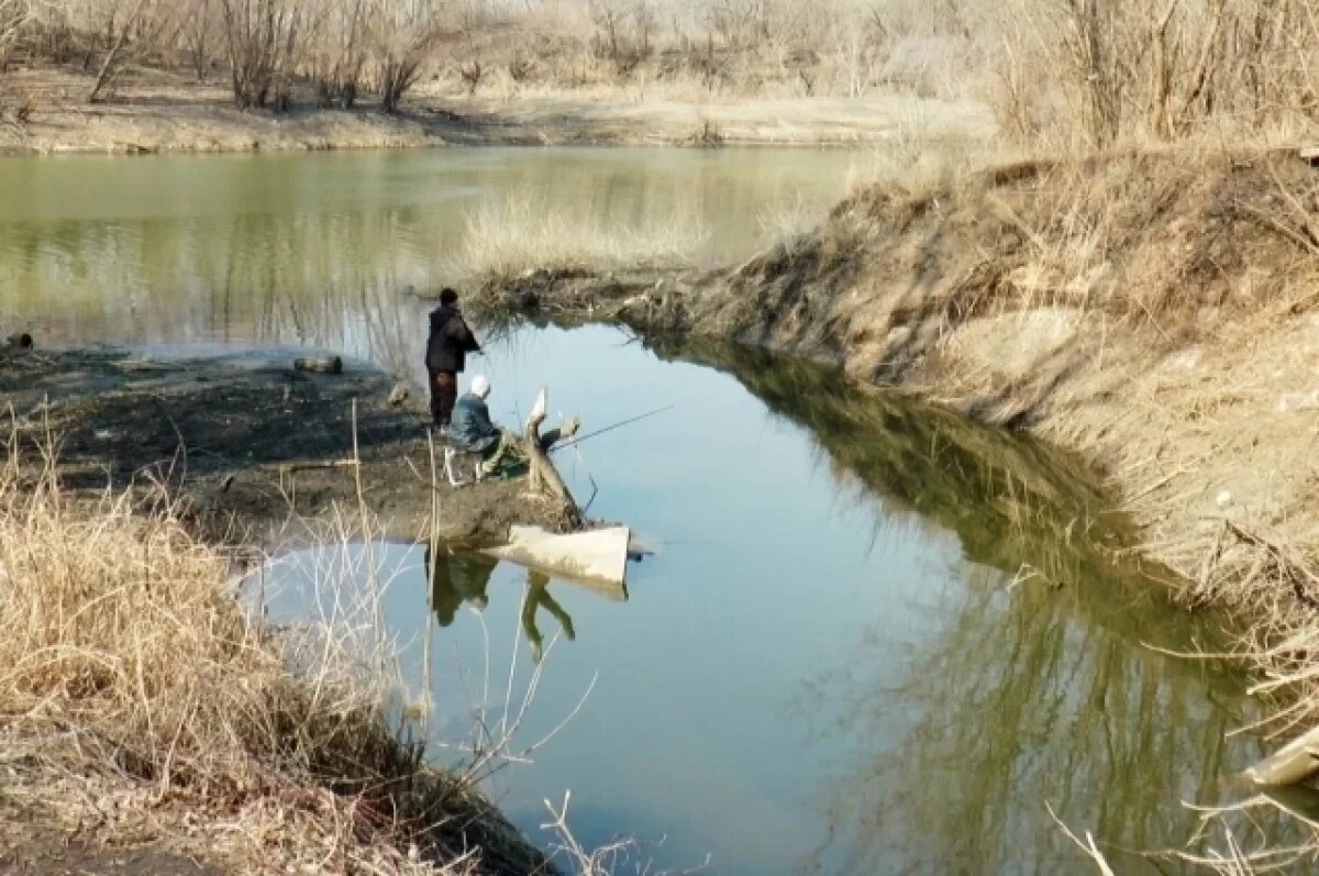    У речки Лыбедь непростая судьба... Люди сначала загрязнили ее, потом спрятали в трубы. Сейчас есть шанс подарить реке вторую жизнь.
