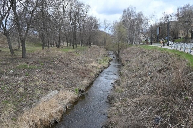    Любимую рязанцами Лыбедку защищал еще знаменитый писатель Михаил Евграфович Салтыков-Щедрин, когда был рязанским вице-губернатором. Фото: Рязанские ведомости/ Дмитрий Соколов