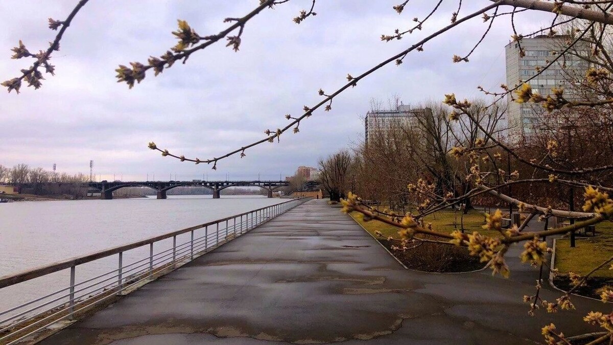     Источник: prmira.ru