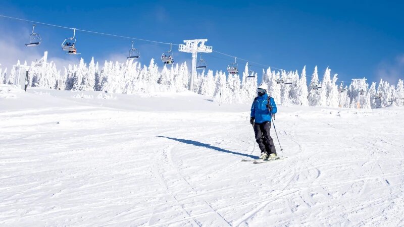     Горнолыжный спуск. Фото: ru.freepik.com, автор wirestock.