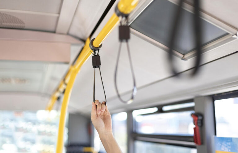    Фото: freepik.com/ freepik Дмитрий Андреев