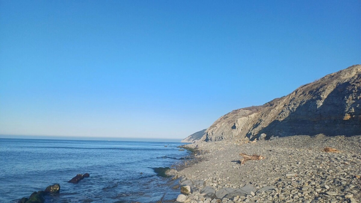     Автор: KubanPress