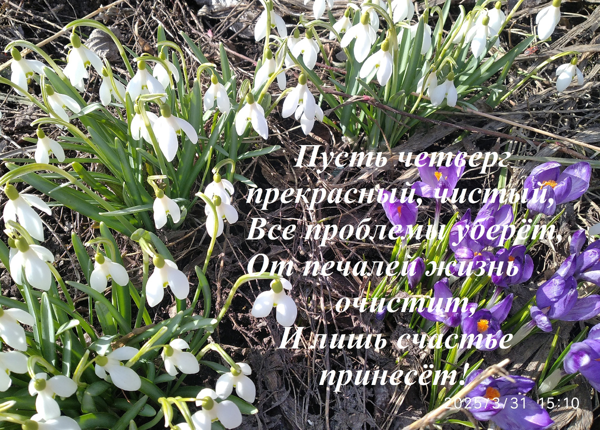 Моя фотография с пожеланиями