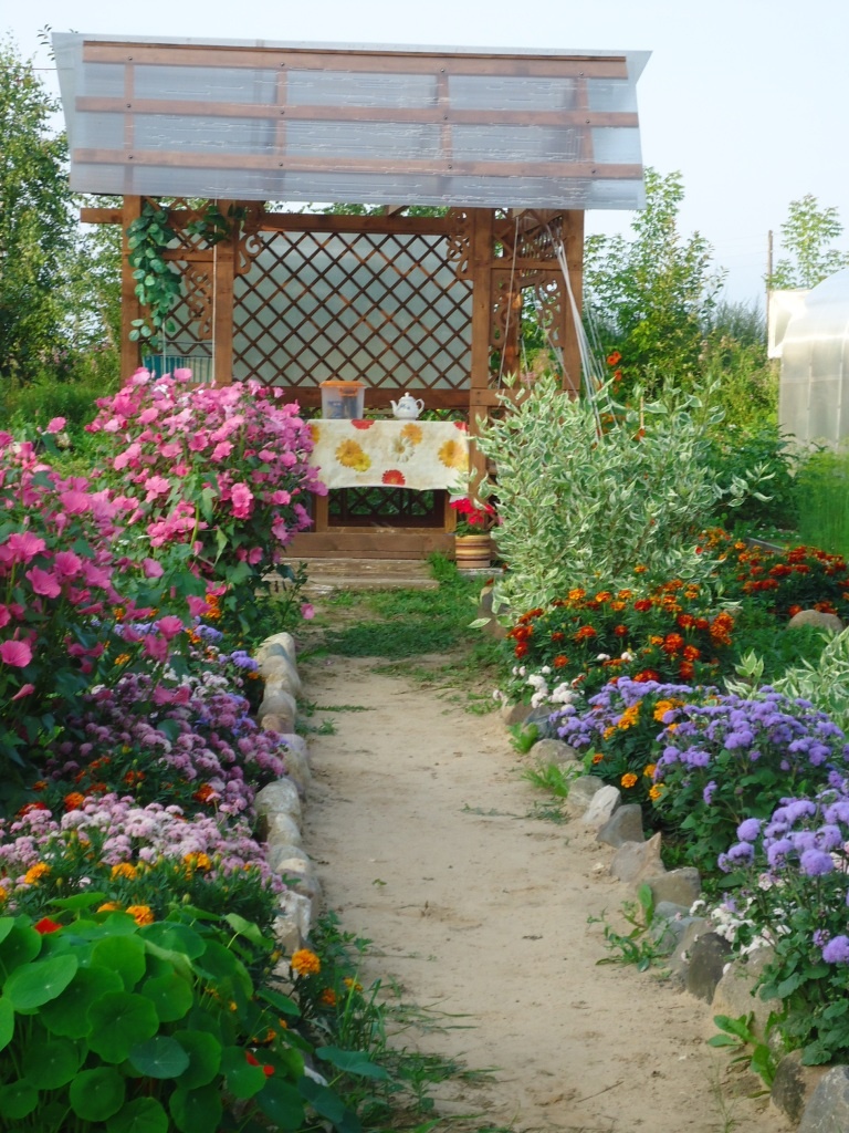 Фото автора.