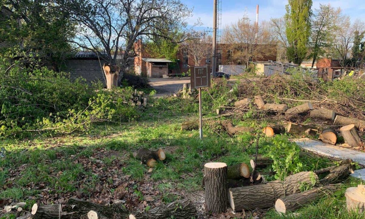    Фото пресс-службы администрации Краснодара