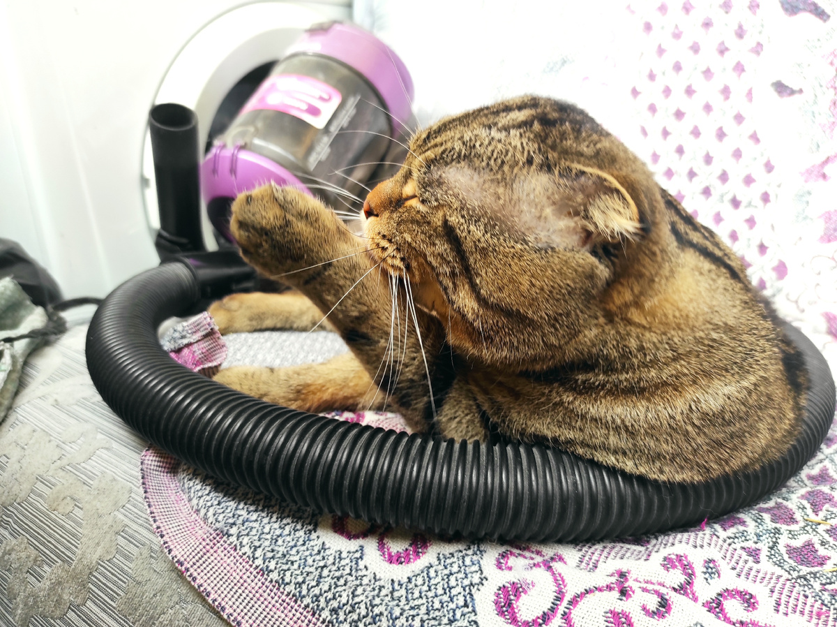 Сбежала на балкон дописать, а он опять за своё 😂