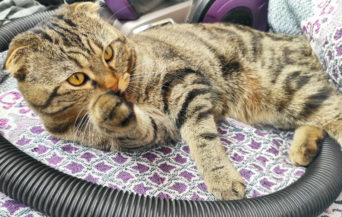 Мой мотиватор 