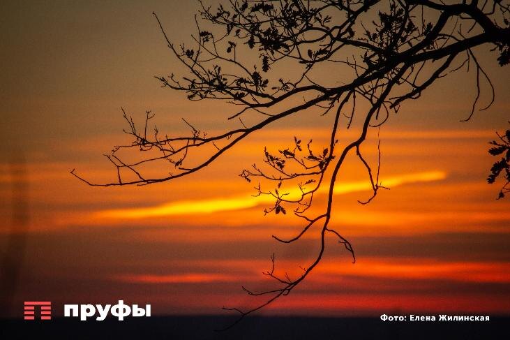    Фото: Пруфы.рф