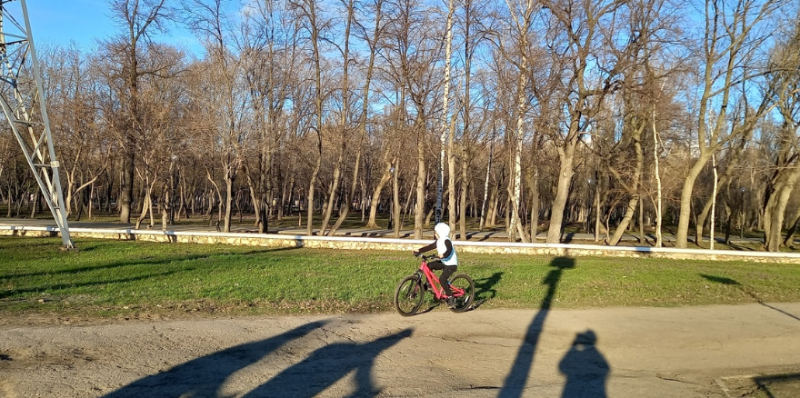    Фото из архива Progorod