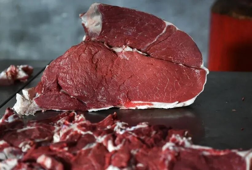     © РИА Новости. Константин Михальчевский