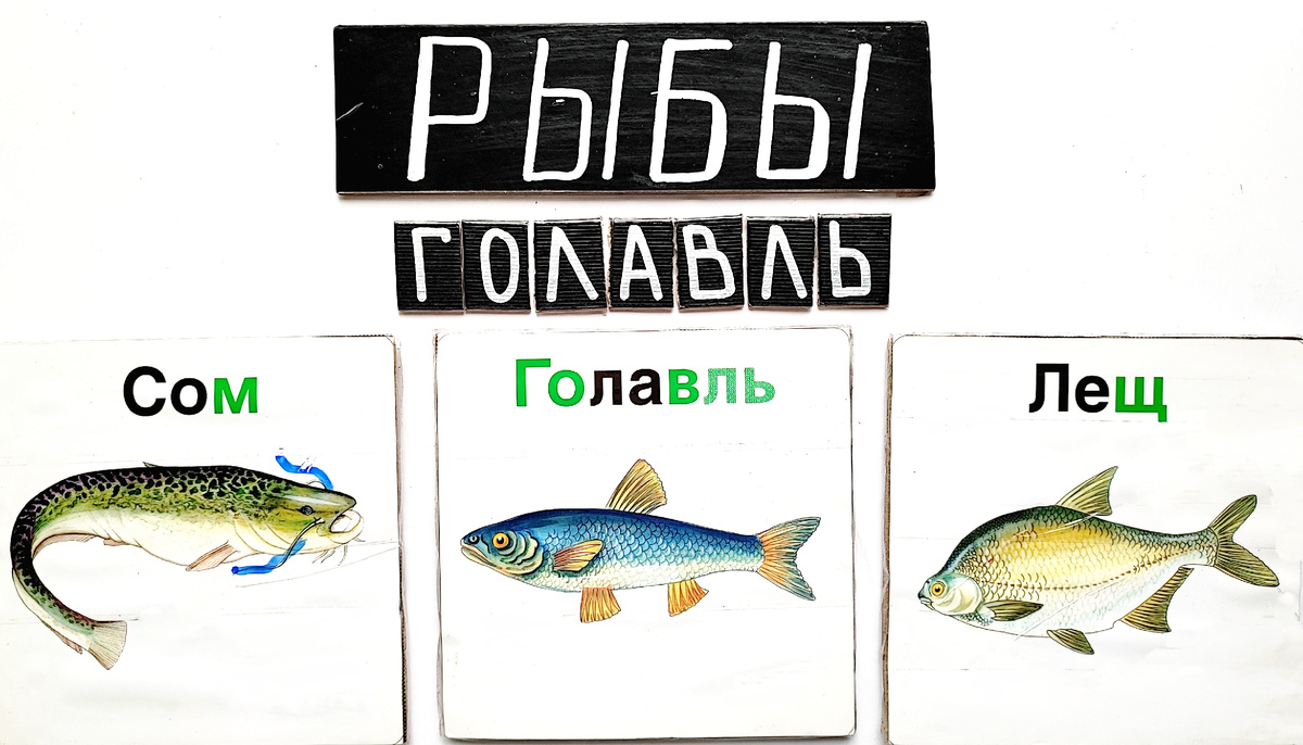 Названия рыб предлагаю ребенку собрать из букв или написать печатными буквами.