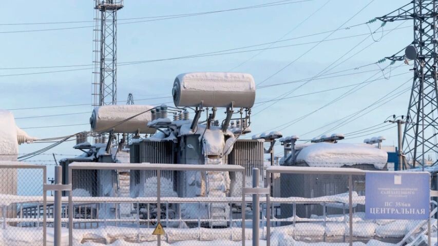    Фото: Федор Воронов/«Ямал-Медиа»