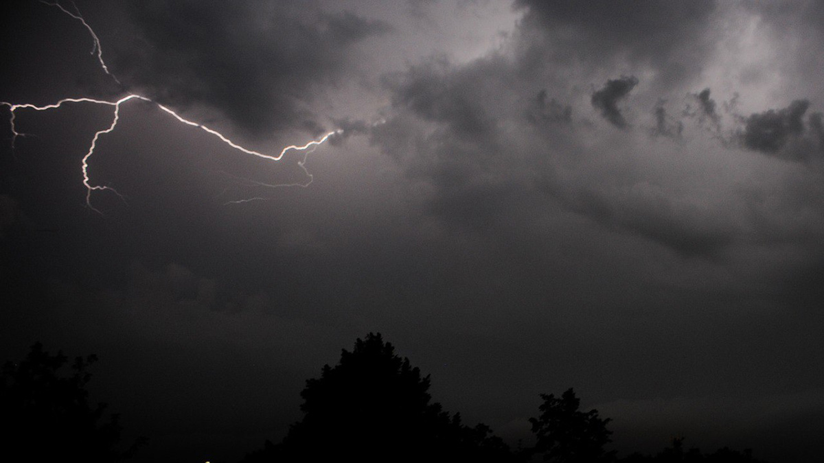    Фото: vm.ru Георгий