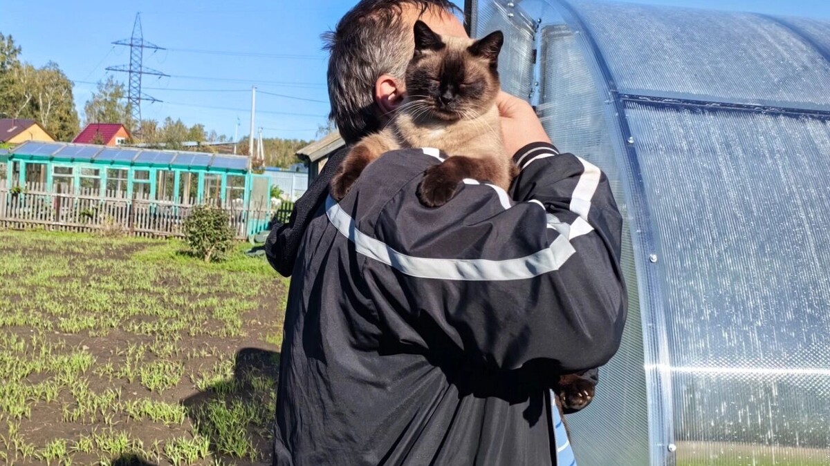     Автор: Василий Акимов Источник: atas.info