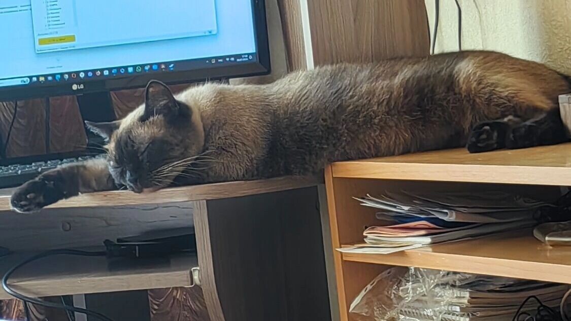     Автор: Василий Акимов Источник: atas.info