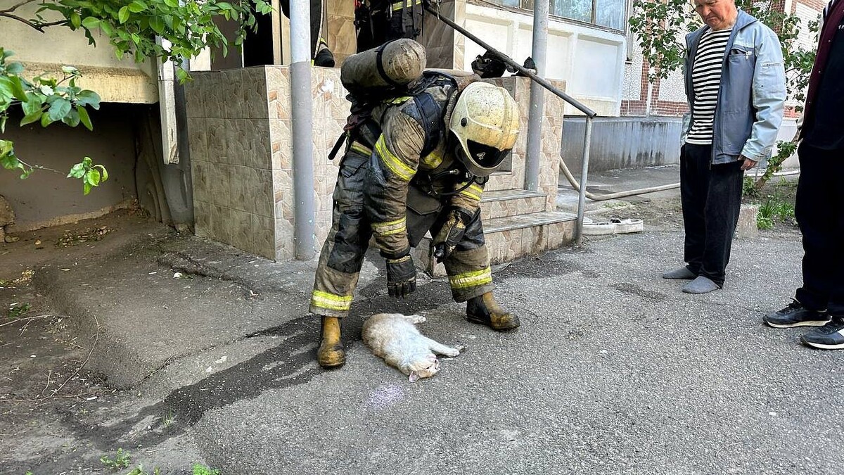    Фото: телеканал «Краснодар»