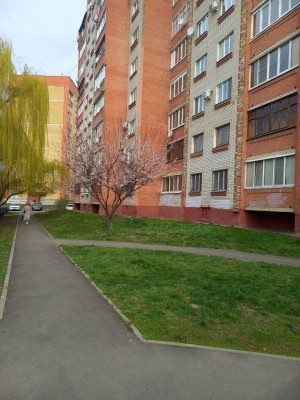 Фото ОрелТаймс  📷
