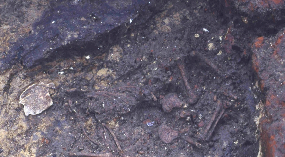   Flanders Heritage Agency; Maxime Poulain et al. / Archaeological and Anthropological Sciences, 2025