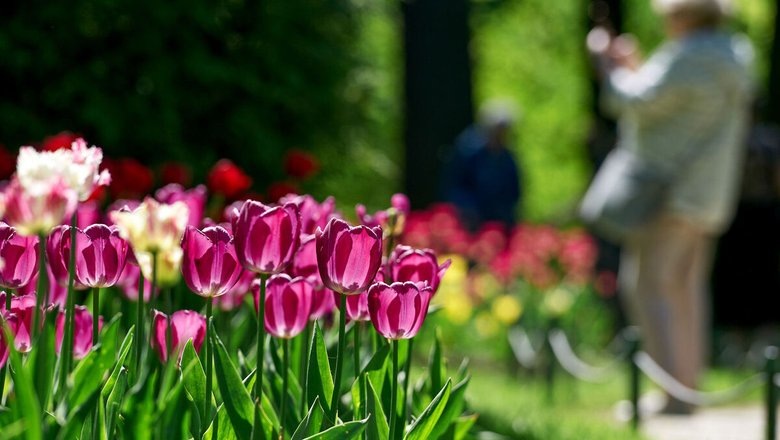 Источник: Газета.Ру