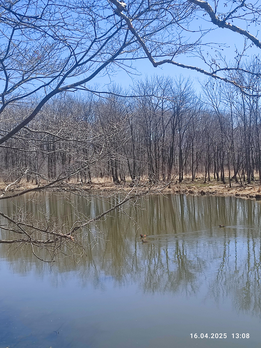 Протока Солёная. Фото автора.