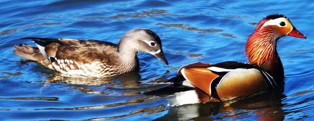 Фото из архива автора.